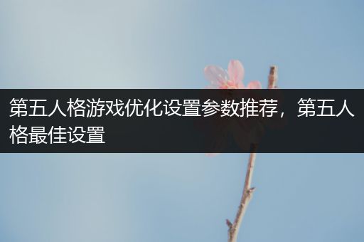 第五人格游戏优化设置参数推荐，第五人格最佳设置