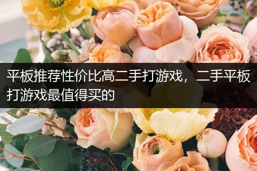 平板推荐性价比高二手打游戏，二手平板打游戏最值得买的