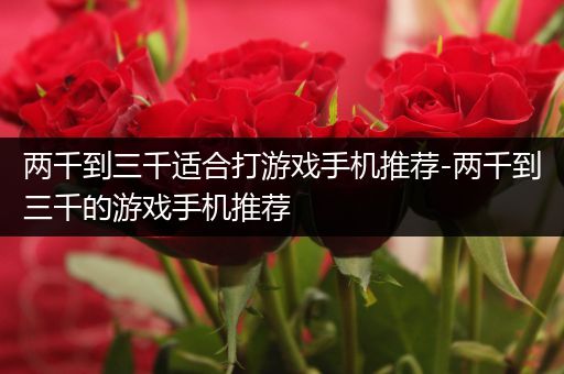 两千到三千适合打游戏手机推荐-两千到三千的游戏手机推荐
