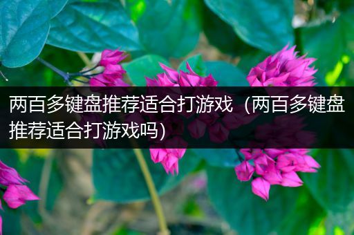 两百多键盘推荐适合打游戏（两百多键盘推荐适合打游戏吗）