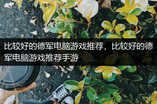 比较好的德军电脑游戏推荐，比较好的德军电脑游戏推荐手游