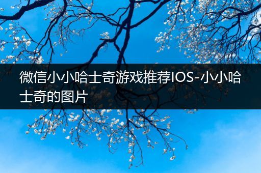 微信小小哈士奇游戏推荐IOS-小小哈士奇的图片