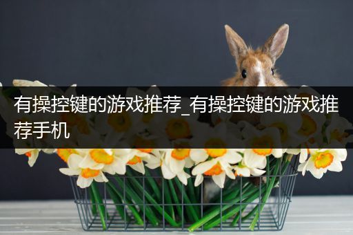 有操控键的游戏推荐_有操控键的游戏推荐手机