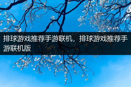 排球游戏推荐手游联机，排球游戏推荐手游联机版