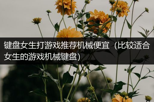 键盘女生打游戏推荐机械便宜（比较适合女生的游戏机械键盘）