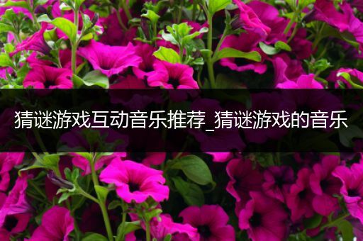 猜谜游戏互动音乐推荐_猜谜游戏的音乐