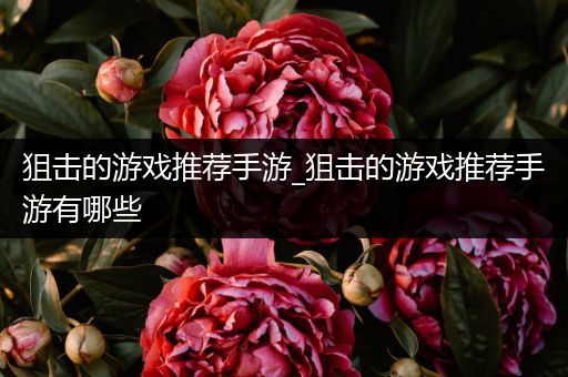 狙击的游戏推荐手游_狙击的游戏推荐手游有哪些