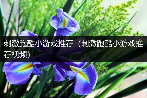 刺激跑酷小游戏推荐（刺激跑酷小游戏推荐视频）