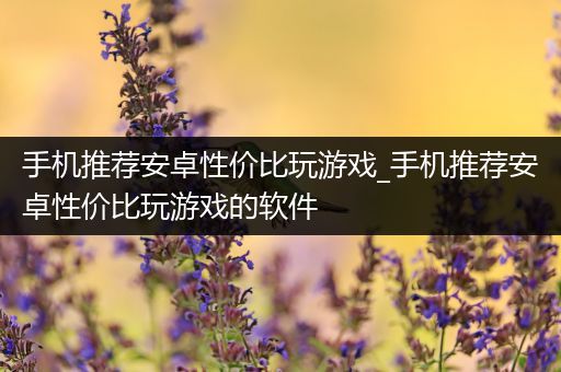 手机推荐安卓性价比玩游戏_手机推荐安卓性价比玩游戏的软件