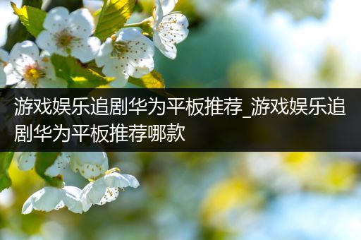 游戏娱乐追剧华为平板推荐_游戏娱乐追剧华为平板推荐哪款