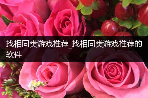 找相同类游戏推荐_找相同类游戏推荐的软件