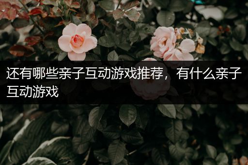 还有哪些亲子互动游戏推荐，有什么亲子互动游戏