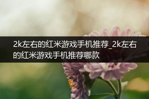 2k左右的红米游戏手机推荐_2k左右的红米游戏手机推荐哪款