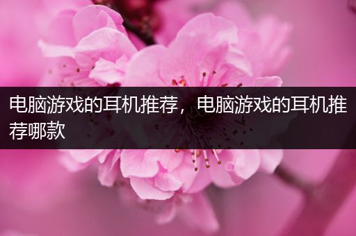 电脑游戏的耳机推荐，电脑游戏的耳机推荐哪款