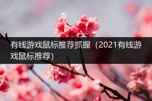 有线游戏鼠标推荐抓握（2021有线游戏鼠标推荐）
