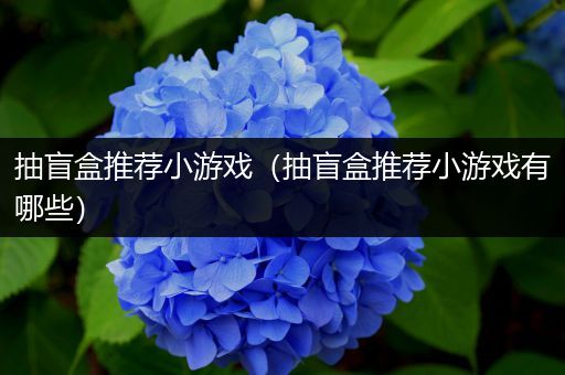 抽盲盒推荐小游戏（抽盲盒推荐小游戏有哪些）