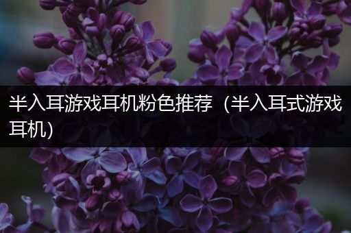 半入耳游戏耳机粉色推荐（半入耳式游戏耳机）