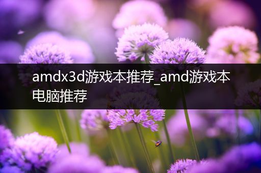 amdx3d游戏本推荐_amd游戏本电脑推荐
