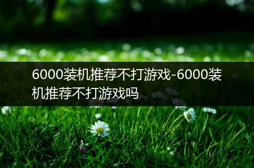 6000装机推荐不打游戏-6000装机推荐不打游戏吗