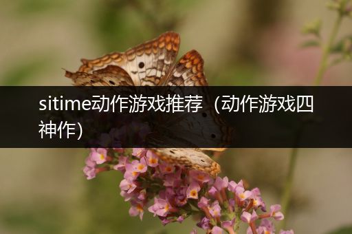 sitime动作游戏推荐（动作游戏四神作）