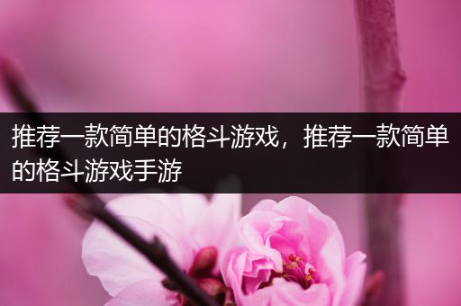 推荐一款简单的格斗游戏，推荐一款简单的格斗游戏手游