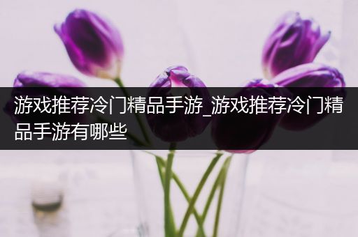 游戏推荐冷门精品手游_游戏推荐冷门精品手游有哪些