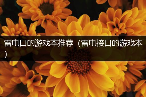 雷电口的游戏本推荐（雷电接口的游戏本）