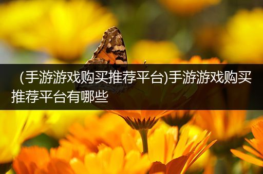 （手游游戏购买推荐平台)手游游戏购买推荐平台有哪些