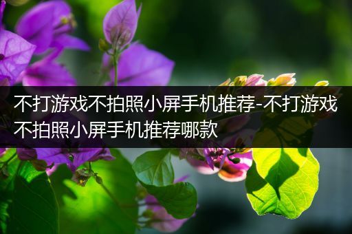不打游戏不拍照小屏手机推荐-不打游戏不拍照小屏手机推荐哪款