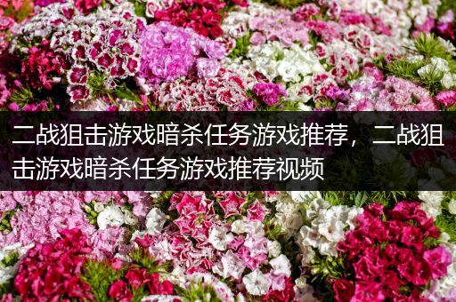 二战狙击游戏暗杀任务游戏推荐，二战狙击游戏暗杀任务游戏推荐视频