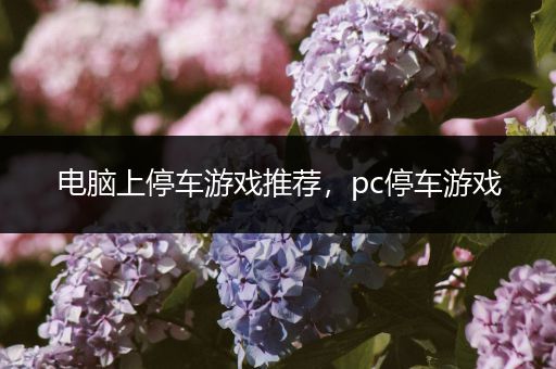 电脑上停车游戏推荐，pc停车游戏
