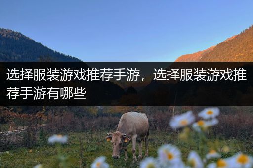 选择服装游戏推荐手游，选择服装游戏推荐手游有哪些
