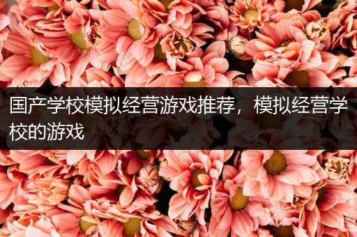 国产学校模拟经营游戏推荐，模拟经营学校的游戏