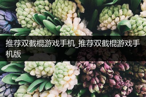 推荐双截棍游戏手机_推荐双截棍游戏手机版