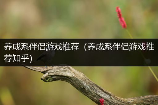 养成系伴侣游戏推荐（养成系伴侣游戏推荐知乎）