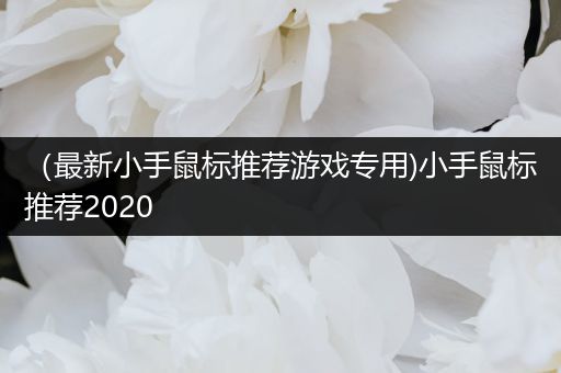 （最新小手鼠标推荐游戏专用)小手鼠标推荐2020