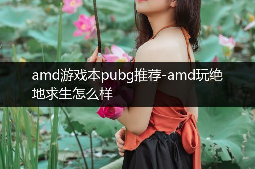 amd游戏本pubg推荐-amd玩绝地求生怎么样
