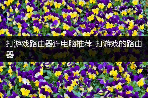 打游戏路由器连电脑推荐_打游戏的路由器