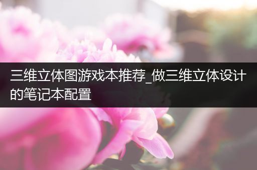 三维立体图游戏本推荐_做三维立体设计的笔记本配置