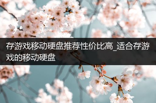 存游戏移动硬盘推荐性价比高_适合存游戏的移动硬盘