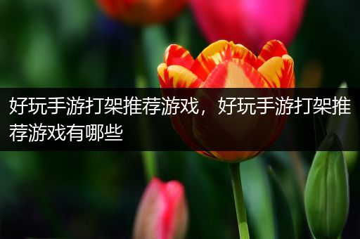 好玩手游打架推荐游戏，好玩手游打架推荐游戏有哪些