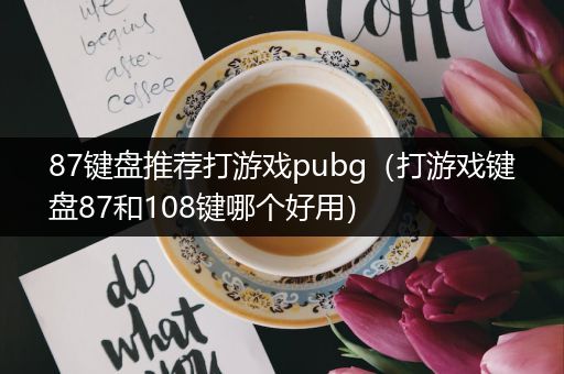 87键盘推荐打游戏pubg（打游戏键盘87和108键哪个好用）