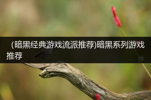 （暗黑经典游戏流派推荐)暗黑系列游戏推荐
