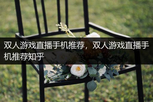 双人游戏直播手机推荐，双人游戏直播手机推荐知乎