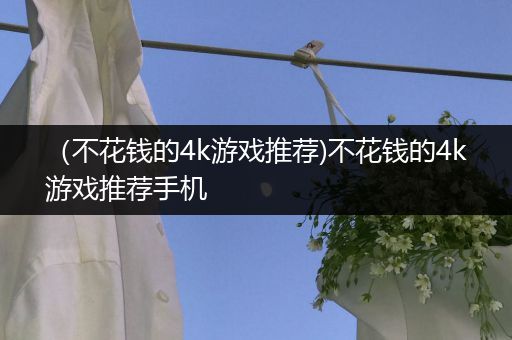 （不花钱的4k游戏推荐)不花钱的4k游戏推荐手机