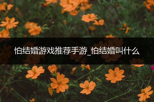 怕结婚游戏推荐手游_怕结婚叫什么