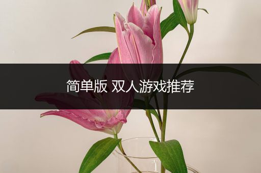简单版 双人游戏推荐