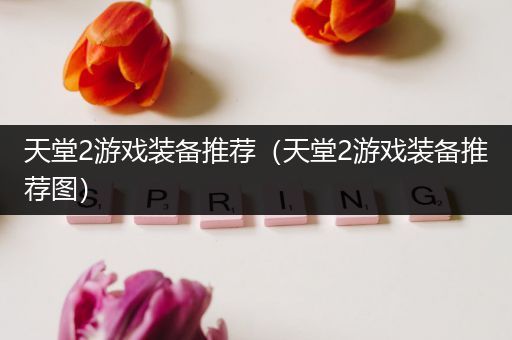 天堂2游戏装备推荐（天堂2游戏装备推荐图）