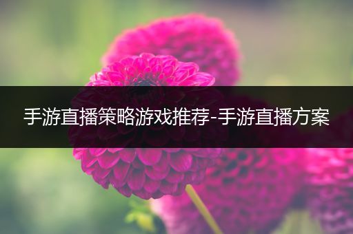 手游直播策略游戏推荐-手游直播方案