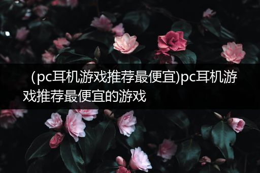 （pc耳机游戏推荐最便宜)pc耳机游戏推荐最便宜的游戏